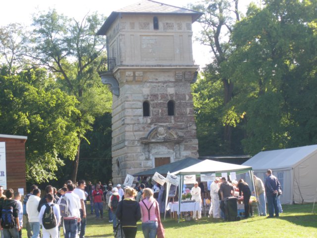 photo.jpg