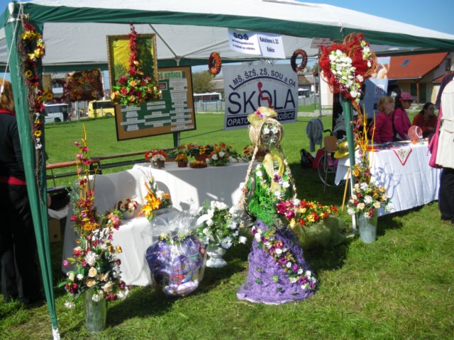 photo11.jpg
