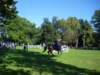 photo14_small.jpg
