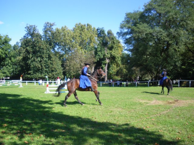 photo15.jpg