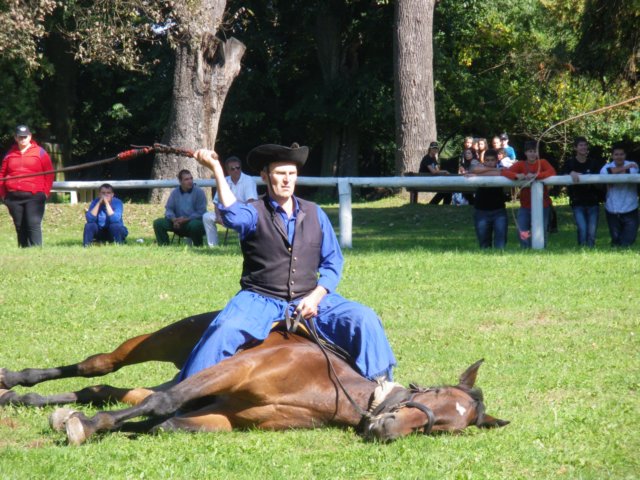 photo17.jpg