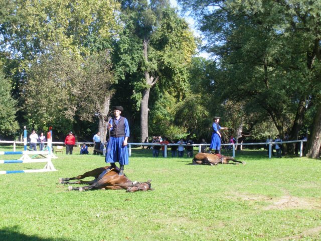 photo18.jpg