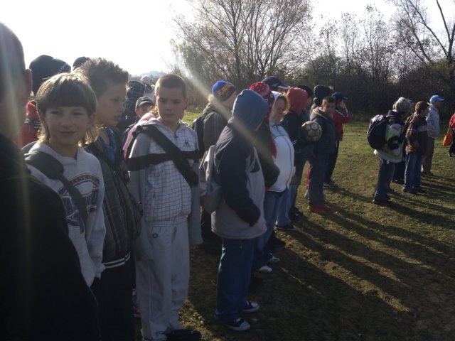 photo28.jpg