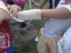 photo16_small.jpg