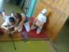 photo9_small.jpg