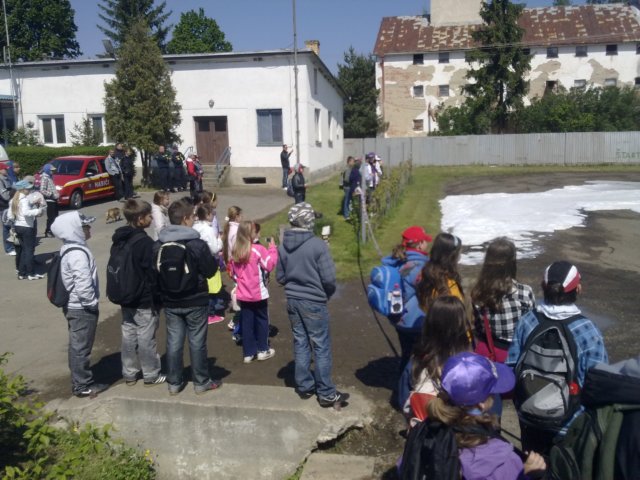 photo40.jpg