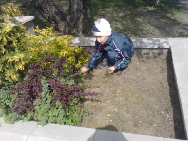 photo29.jpg