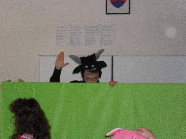photo47.jpg