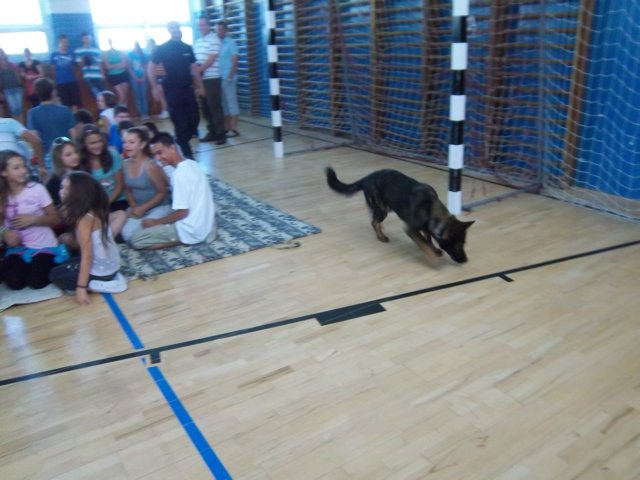 photo51.jpg