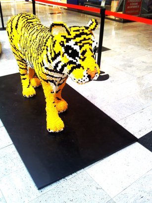 photo27.jpg