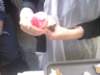 photo37_small.jpg