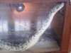 photo12_small.jpg