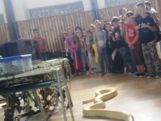 photo14.jpg