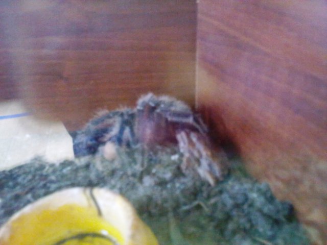 photo21.jpg