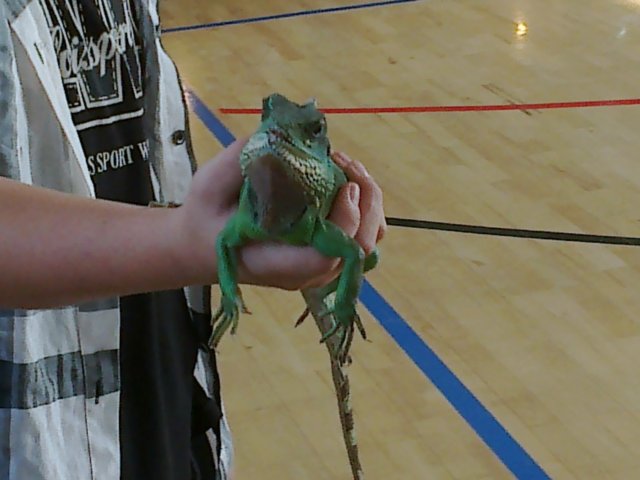 photo32.jpg