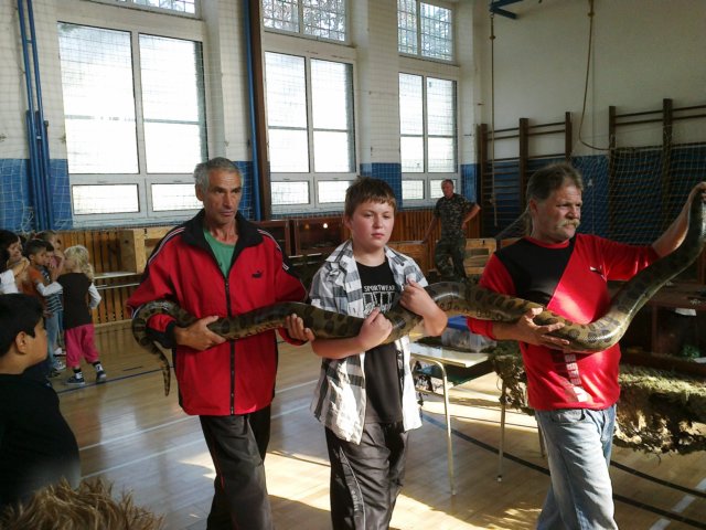 photo37.jpg