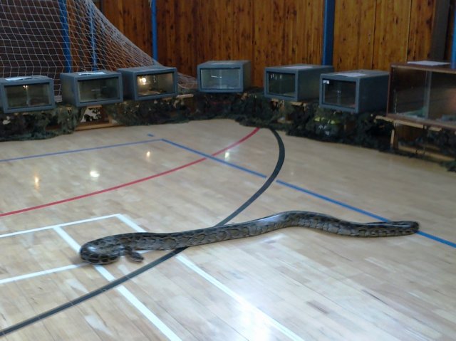 photo39.jpg