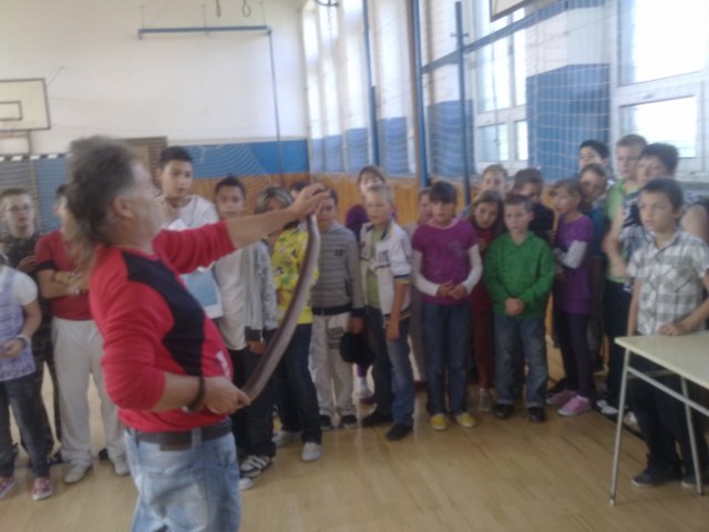 photo4.jpg